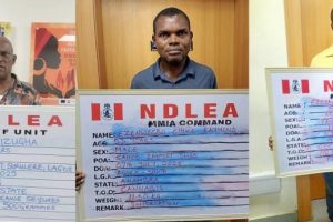 NDLEA seizes Cocaine, Cannabis Concealed in Microwaves, Lipsticks, Nabs Wanted Drug Kingpin