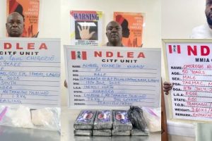 NDLEA Arrests Wanted Drug Kingpin After 7 Years, Seizes 101,150kg Of Illicit Drugs In 13 States