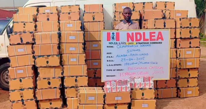 NDLEA Busts 6 Major Drug Syndicates, Arrests 9 Kingpins, Seizes Tons of Narcotics